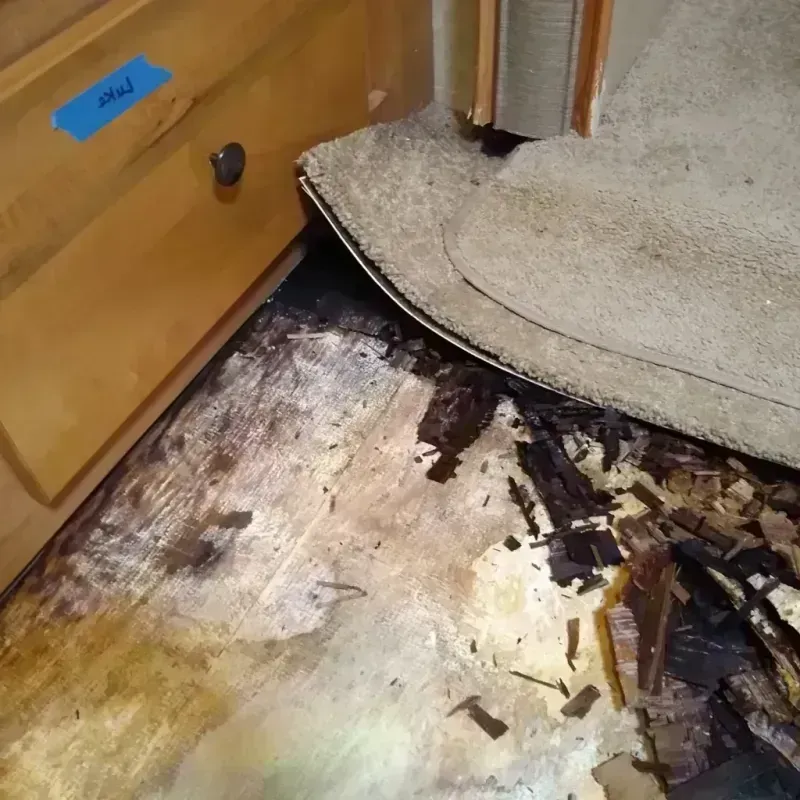 Wood Floor Water Damage in Kettleman City, CA